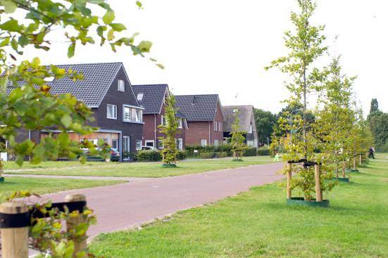 Straatbeeld Grooteveen